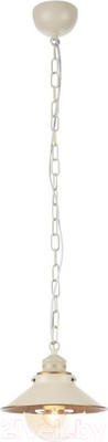 Потолочный светильник Arte Lamp Grazioso Bianco A4577SP-1WG