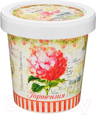 Набор для выращивания растений Rostokvisa Гортензия / 45962