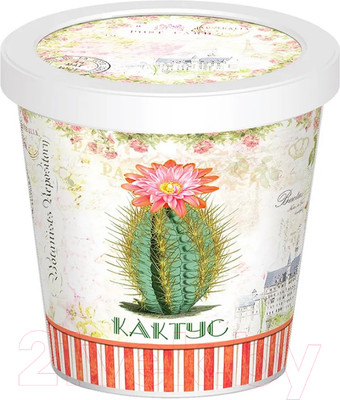 Набор для выращивания растений Rostokvisa Кактус / 88826