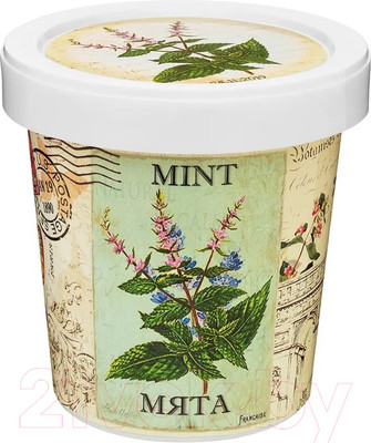 Набор для выращивания растений Rostokvisa Мята / W1487