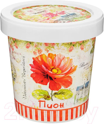 Набор для выращивания растений Rostokvisa Пион / 77700