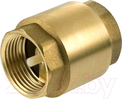 Обратный клапан магистральный STI Ру 16 Ду 20 / 00000000404