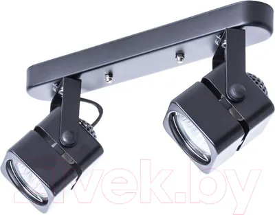 Спот Arte Lamp Misam A1315PL-2BK