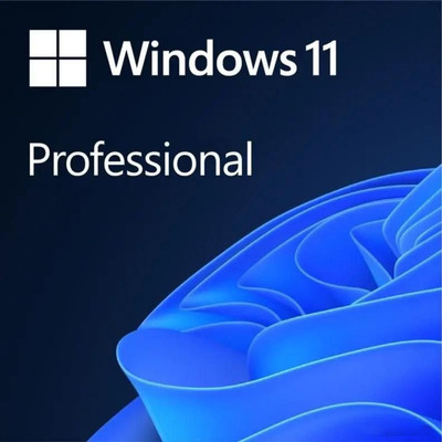 Операционная система Microsoft Windows 11 Pro 64Bit Russian 1PK DSP OEI DVD (FQC-10547)