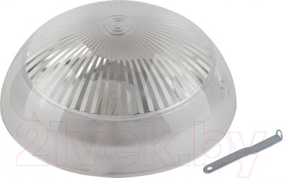 Светильник ЖКХ ЭРА Сириус НБП 06-60-011 / Б0048409