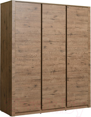 Шкаф Рэйгрупп Bromo 01.03 ДДД 166x198x55 / ШР 01.03 VL (дуб веллингтон)