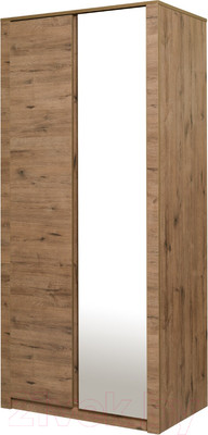 Шкаф Рэйгрупп Bromo 02.02 ДЗ 90x198x55 / ШР 02.02 VL (дуб веллингтон)