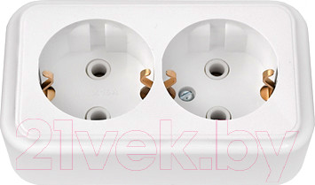 Розетка Bylectrica Пралеска РА16-261 (белый)