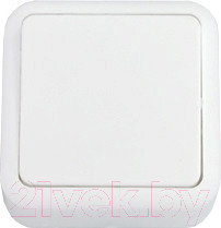 Выключатель Bylectrica А14-116 / 2.112653 (белый)