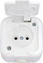Розетка Bylectrica РА16-236 / 2.116970 (белый)