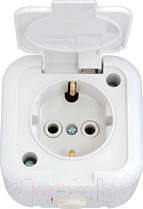 Розетка Bylectrica РА16-214 / 2.116929 (белый)