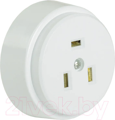 Розетка IEK ERP10-32-01-K01 (белый)