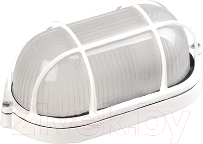 Светильник ЖКХ IEK LNPP0-1202-1-100-K01