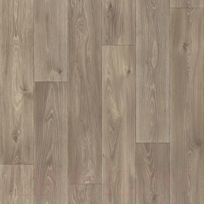 Линолеум Sinteros Комфорт Спенсер 5 (3.5x2.5м)