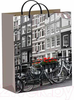 Пакет подарочный ТИКО-Пластик Голландия / н00086542