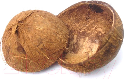 Скорлупа кокоса для декорирования BOTANICA Скорлупа кокосового ореха. Половинка