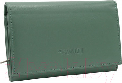 Портмоне Cedar 4U Cavaldi / RD-22-GCL (бирюзовый)
