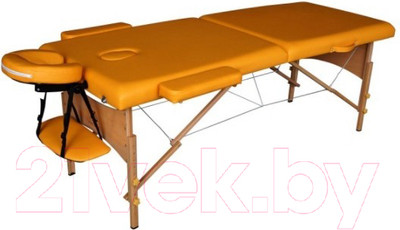 Массажный стол DFC Nirvana Relax / TS20111-M (горчичный)
