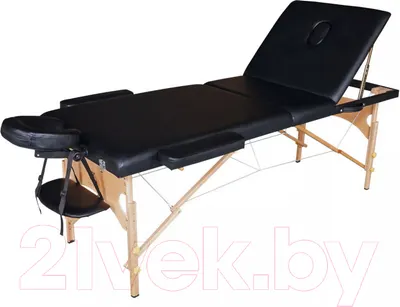 Массажный стол DFC Nirvana Relax Pro/ TS3021-B1 (черный)