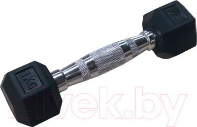 Набор гантелей DFC DB001-1 (2шт)