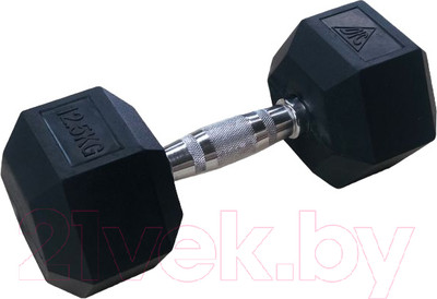 Набор гантелей DFC DB001-12.5 (2шт)