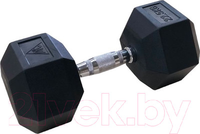 Набор гантелей DFC DB001-22.5 (2шт)