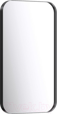 Зеркало Aqwella RM0205BLK