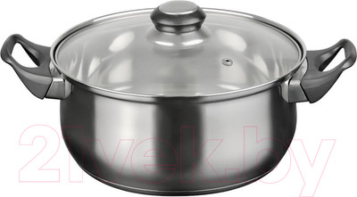 Кастрюля Astell RW1201-LQ-24C