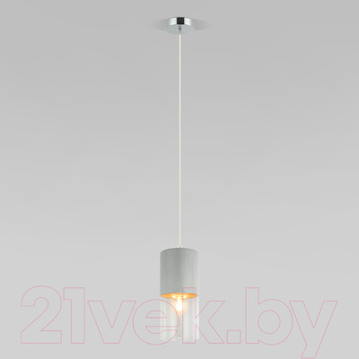 Потолочный светильник Евросвет 50233/1 (серебро)