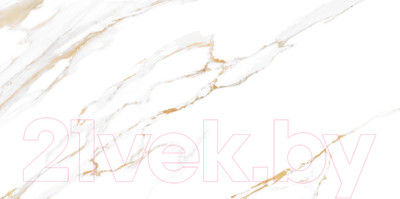 Плитка Alma Ceramica Dublin TWU09DBL004 (249x500)