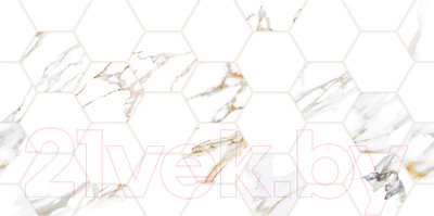 Плитка Alma Ceramica Dublin TWU09DBL014 (249x500)