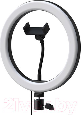 Кольцевая лампа Ritmix RRL-261