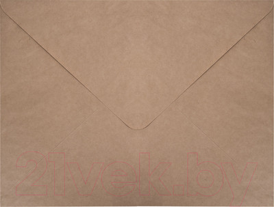 Набор конвертов почтовых Brauberg Крафт / 112366 (500шт)