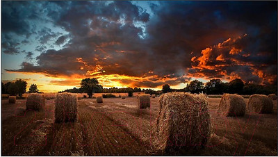 Информационная панель Samsung VM55T-U / LH55VMTUBGBXCI