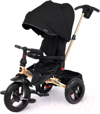 Трехколесный велосипед с ручкой Moby Kids Leader 360 12x10 AIR / 63127 (черный)