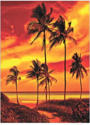 Набор текстиля для спальни JoyArty Пламенный пляж / bcsl_12484 (220x235)