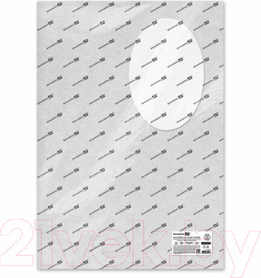 Набор бумаги для рисования Brauberg Art Premiere / 113231