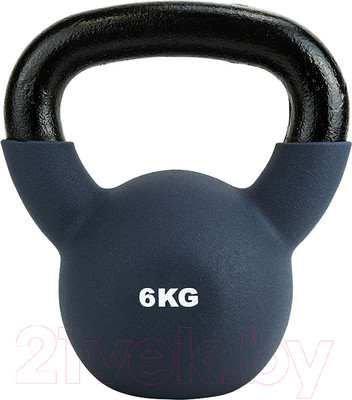 Гиря Torres PL55226 (серый)