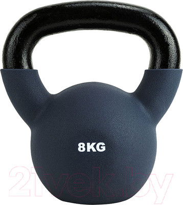 Гиря Torres PL55228 (серый)