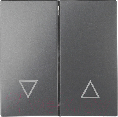 Клавиша для выключателя ЭРА 12-6203-12 / Б0047856 (графит)