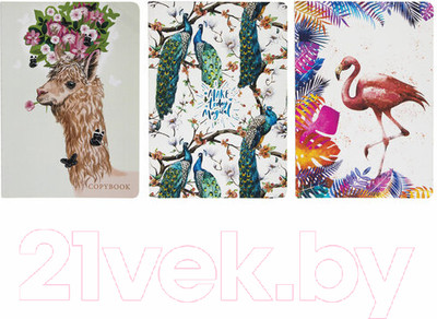 Набор тетрадей Brauberg Summer / 403793 (3шт)