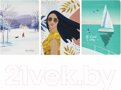 Набор тетрадей Brauberg Memories / 403803 (3шт)