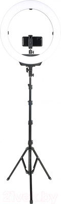 Кольцевая лампа Falcon Eyes BeautyLight 480LS Led со стойкой / 28492