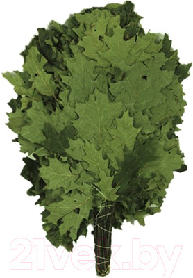 Банный веник No Brand Канадского Дуба