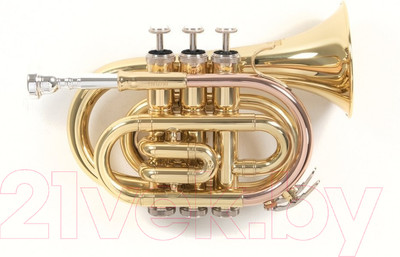 Труба Gewa RoyBenson Bb-Pocket PT-101 / RB701.000