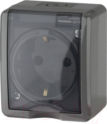 Розетка ЭРА Эксперт 11-2402-03 / Б0020715 (серый)