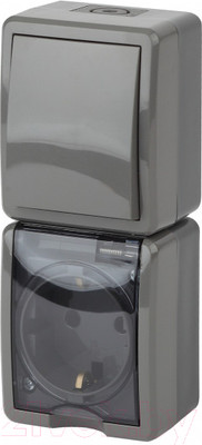 Блок выключатель+розетка ЭРА Эксперт 11-7408-03 / Б0036007 (серый)