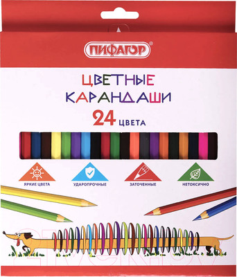 Набор цветных карандашей Пифагор Веселая такса / 181808 (24цв)