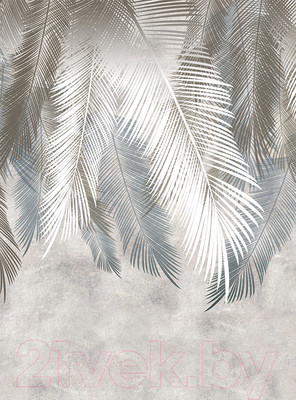Фотообои листовые Vimala Листья пальмы (270x200)