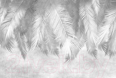 Фотообои листовые Vimala Серые листья (270x400)